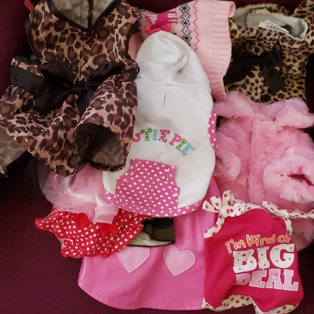 Small girl doggie clothes